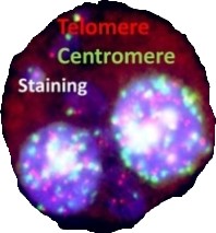 Mutation Research