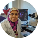 Radhia M'Kacher, PhD, Hdr